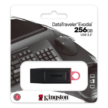 Kingston USB